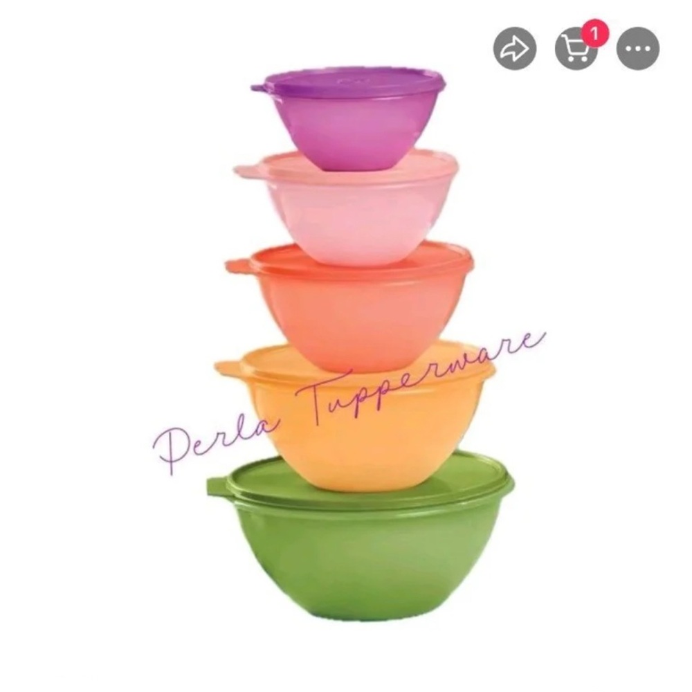 Tupperware Multicolor Nesting Bowl Set
